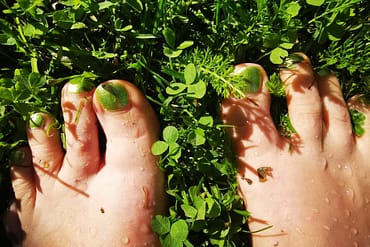 Nestetasapaino ja elektrolyytit